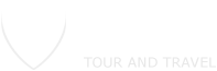 Lion Tour & Travels